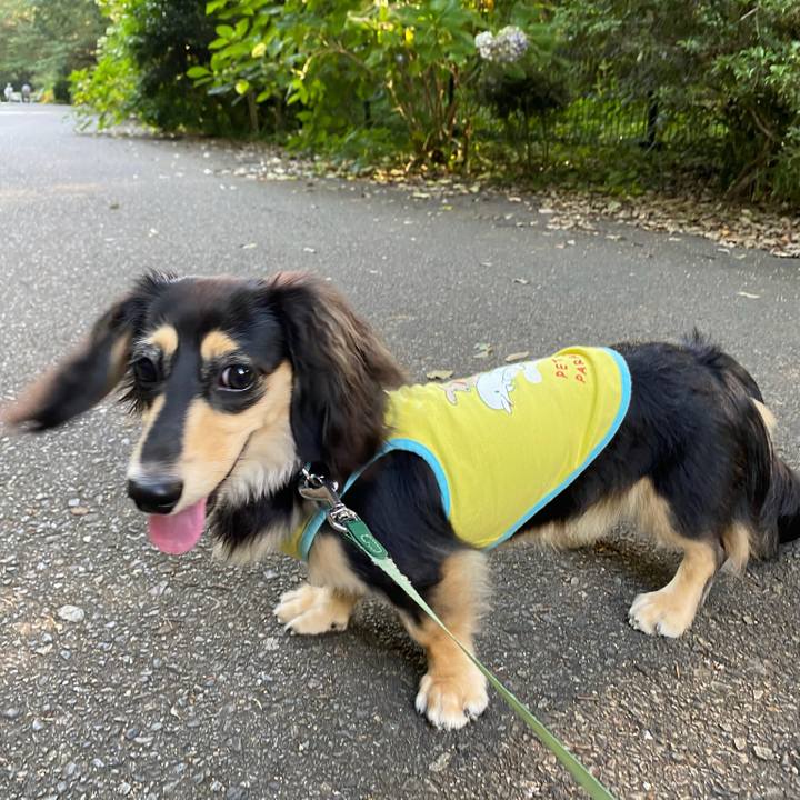 Ad24f5ef 5bd3 4dc3 8d9e 62ac442566e6 1690155554758