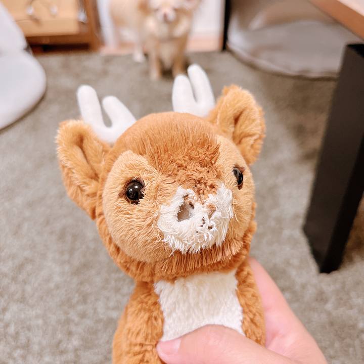 Ad250067 12fa 46c9 80b4 b06d176f33b6 1653996110894