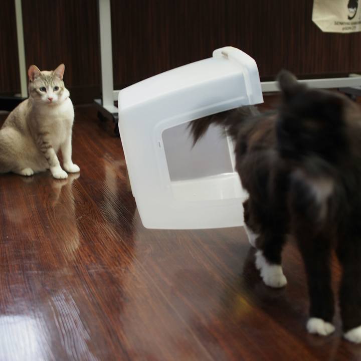 Ad250c48 2bbd 4322 a52d c9925e3928e1 1529329121504