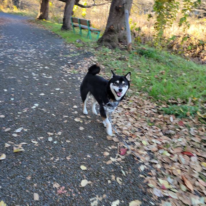 Ad25419e 4177 43a9 8f82 e6709470d965 1764889466116