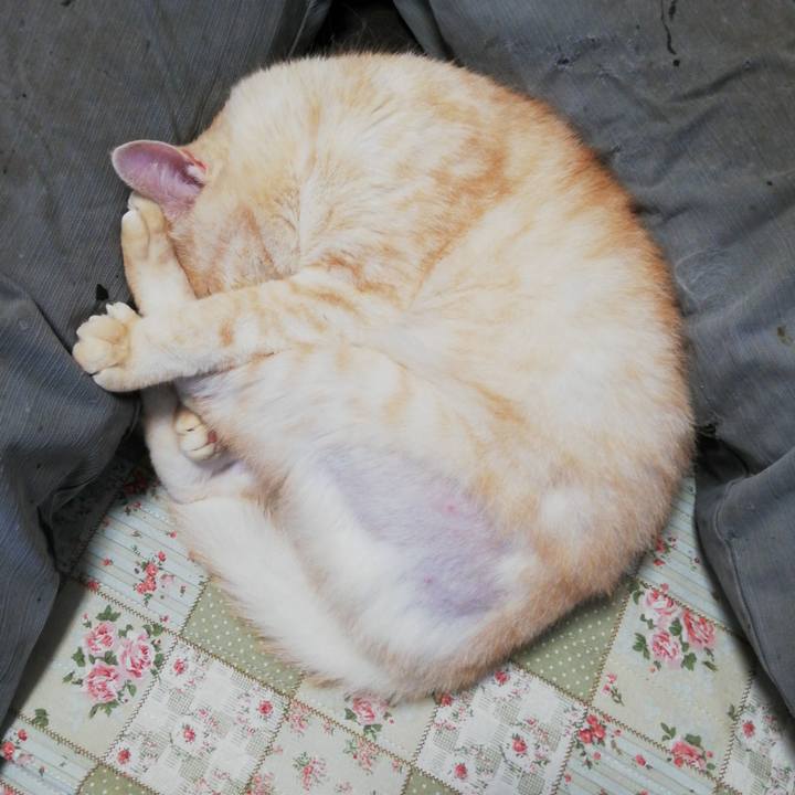 Ad2545b4 67ca 4da1 a853 c0044a73c06d 1623880467925