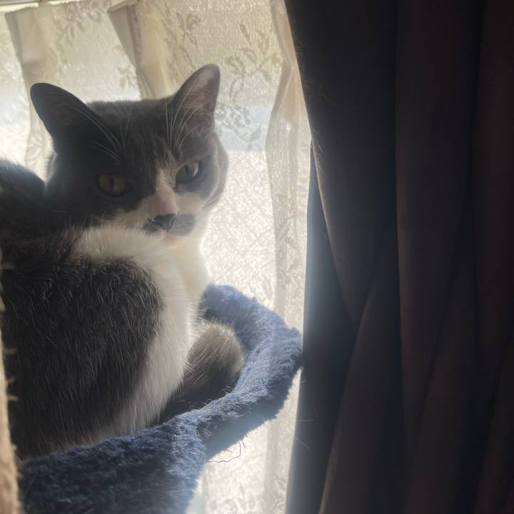 Ad25715c a73c 45b9 98b6 364f3bb4ba21 1703549496601