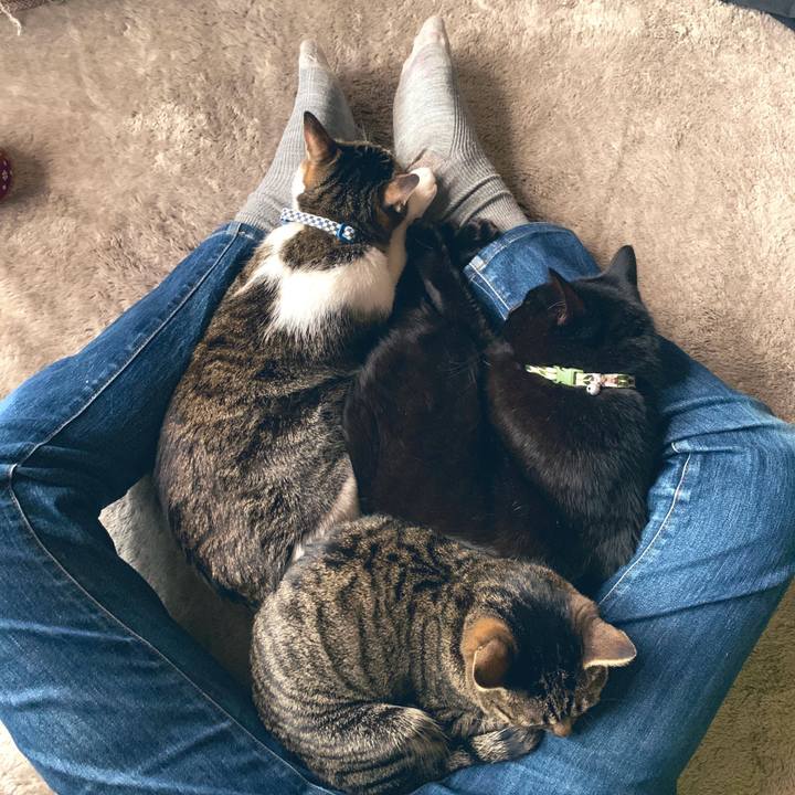 Ad258612 e4de 43df b63e f29e10c394d4 1552456358414