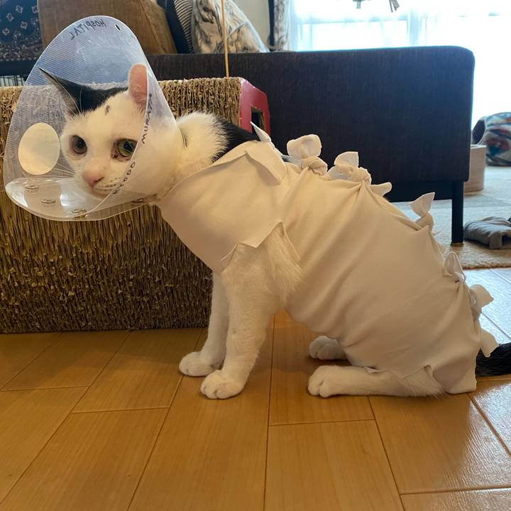 Ad260436 69e5 4367 9602 11516e1ff62d 1689243519775