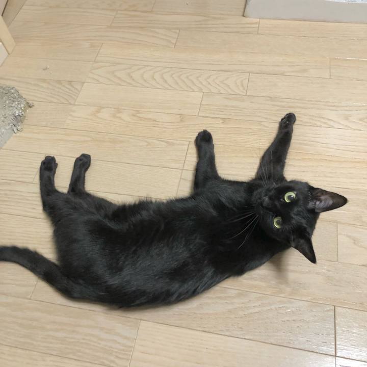 Ad260c43 aa79 493c 8db3 78e3a8b5c898 1630679170029