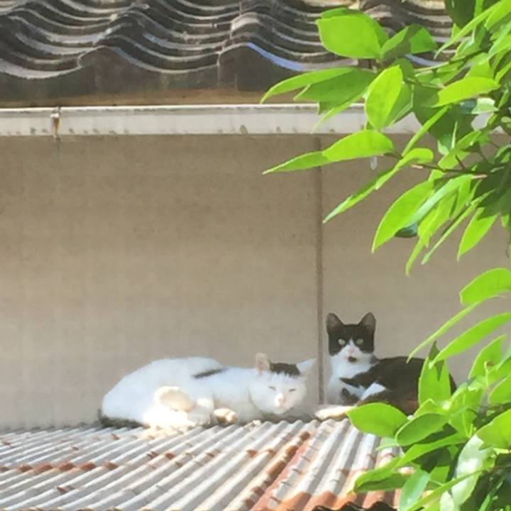 Ad262414 5273 488a 9802 655fc700ff9b 1658102818997