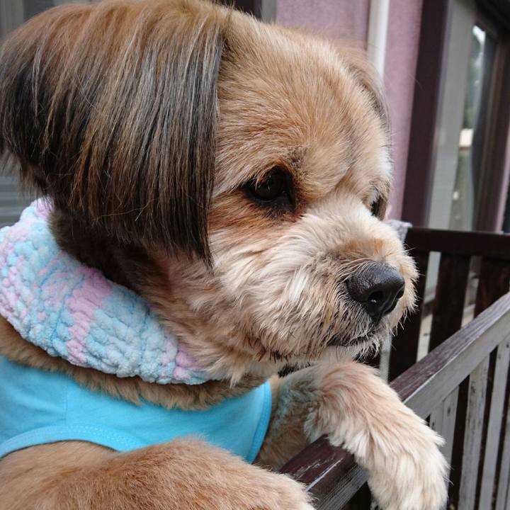 Ad26342d 5165 43c4 9f34 375bfc54a132 1517375898639