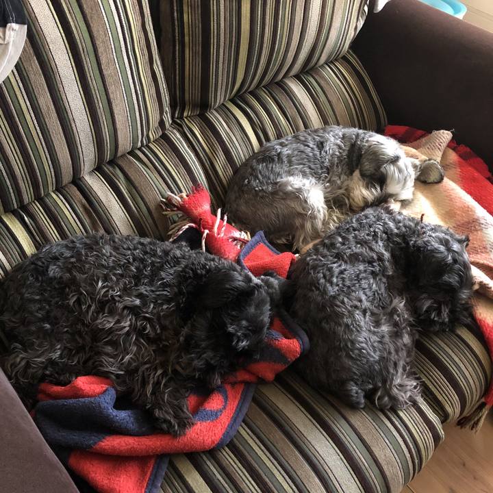 Ad26848c beab 4b78 83a7 285873b8fa6d 1584493904693