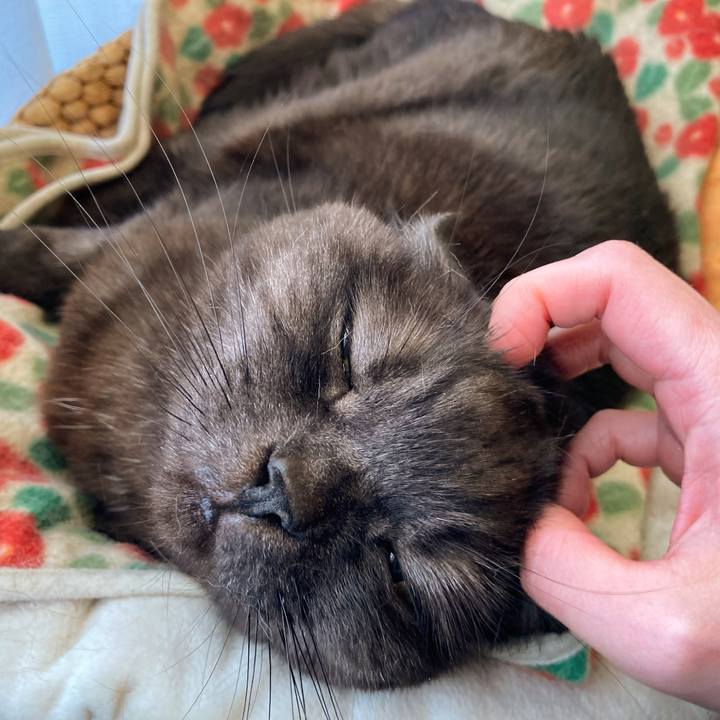 Ad269671 c5b1 4bb2 a0ca 65319e7477c2 1620053888809