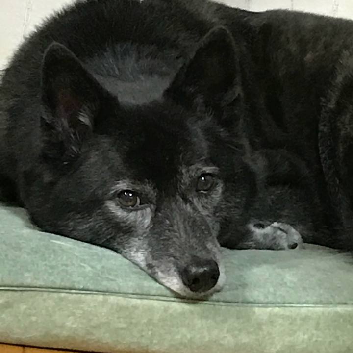 Ad26a2fc 0385 45ae a8e5 40273a00d9e4 1513335853741