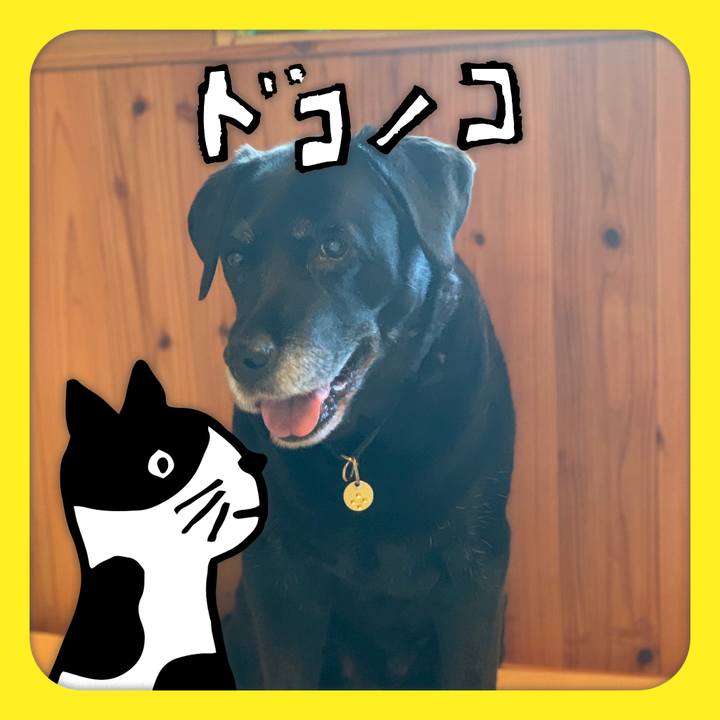 Ad26bdc2 09b9 4d22 8ea7 c574845478b2 1623118335641