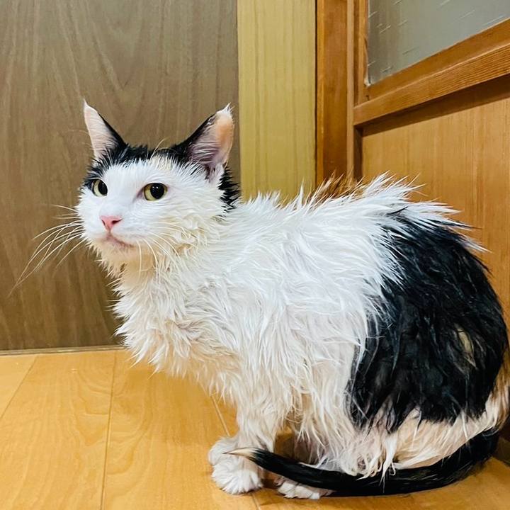 Ad26ec18 038c 4d98 82b7 4f1bb257ce25 1704264043257