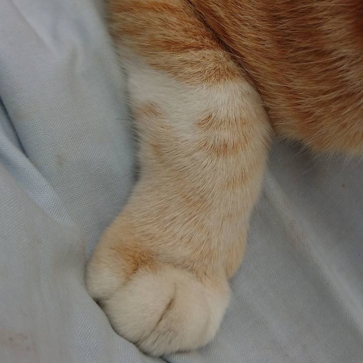 Ad26fa4d 771d 4a7f bf64 ea4987a22976 1593311717343