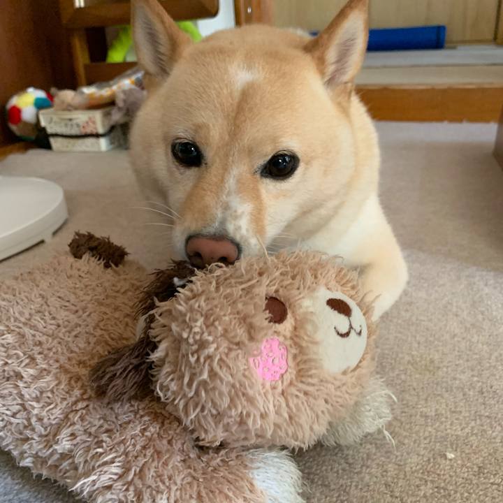 Ad26fd9f c07f 4f14 9734 780b32d71a36 1629934096129