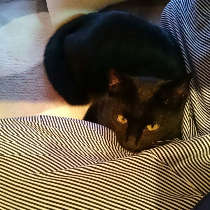 Ad272040 f13c 4225 b11c 071943f4b230 1508056496335