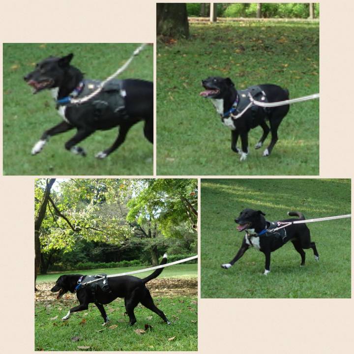 Ad2739ed c5e3 4d01 b8fc d136eb882637 1664238929801