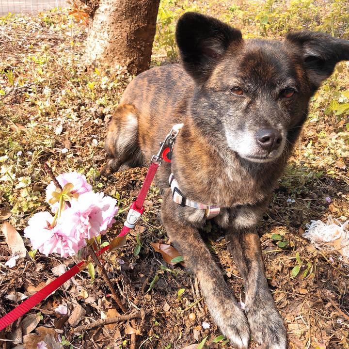 Ad274530 53f3 435c a198 da4ba69488ae 1586490324031