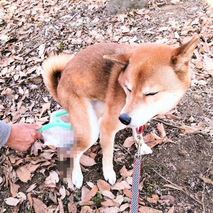 Ad276258 e2c6 4de3 a876 f30906705b36 1609577520453