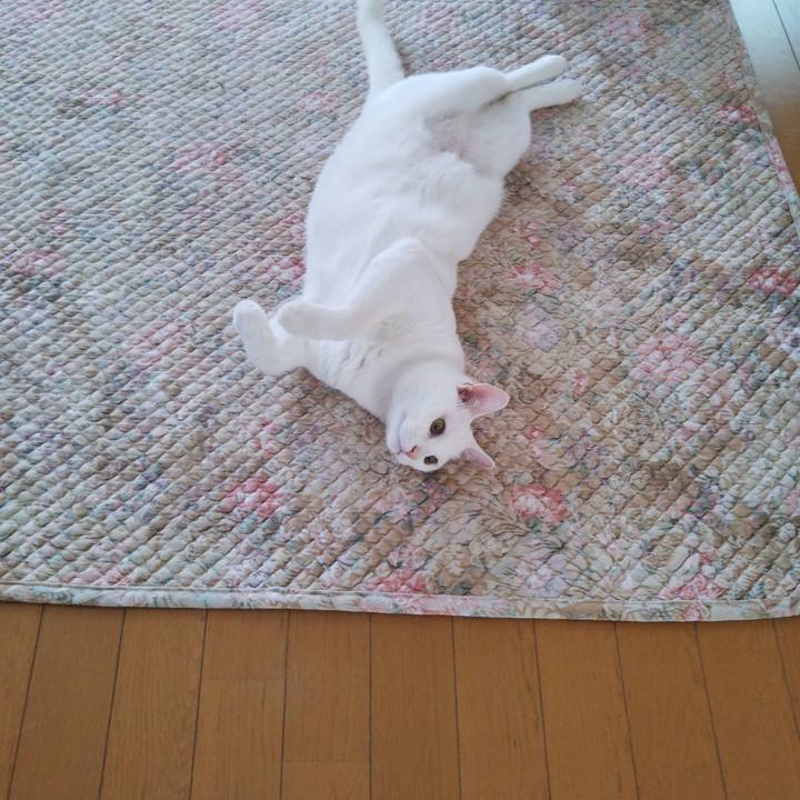 Ad276a58 8353 43a0 9600 f61f240f6c69 1529548703333