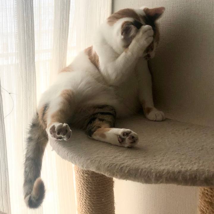 Ad27846c 990f 4226 96d4 00b62a29e411 1583643716591