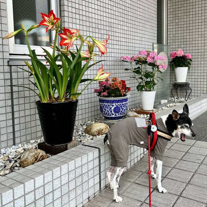 Ad27ac07 9234 4a37 bc4f f2f2021f207d 1652828730784