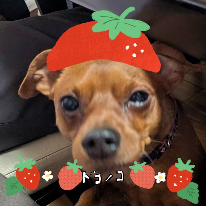 Ad27d02b 4d18 42af a13a 524e2112e7c5 1775372400924