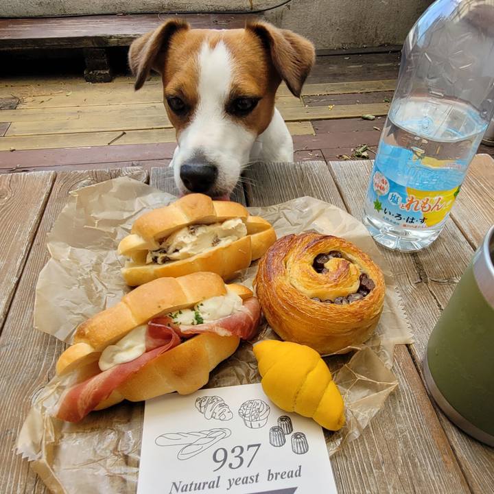 Ad27db2c ea7c 414a b94d 29cf60060fef 1717036578641