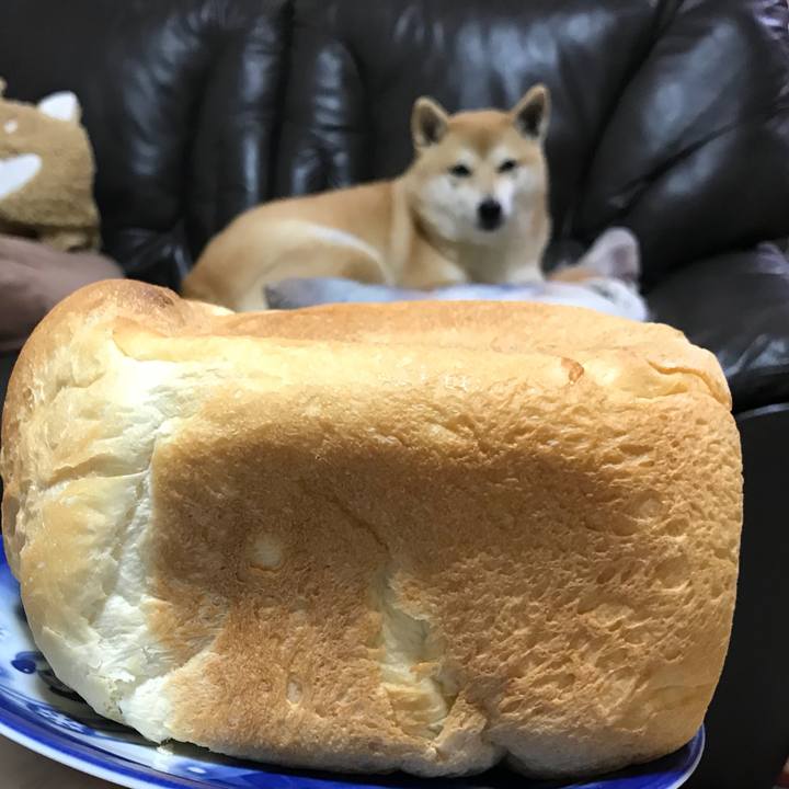 Ad27def0 67b9 4526 96a2 7a1d4e334e5c 1512700238221