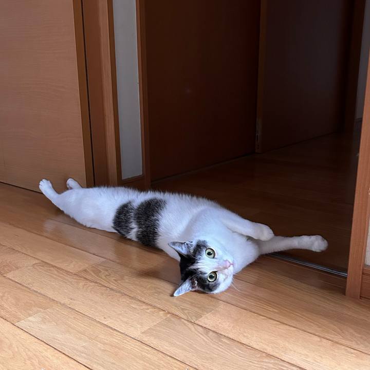 Ad27f0ea 4a15 4e98 8f61 ae6ba48b973e 1719963276138