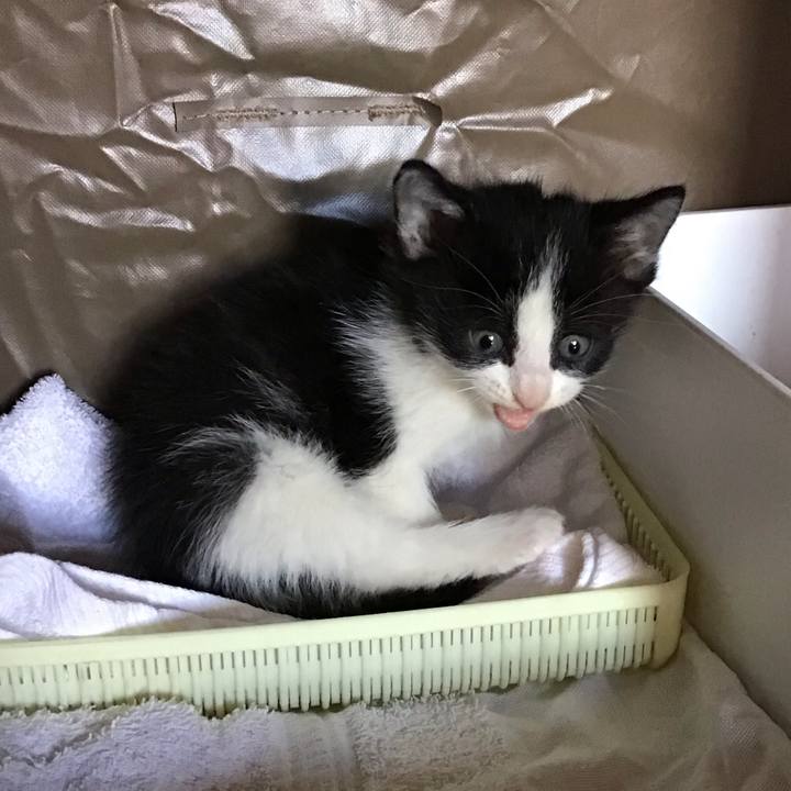 Ad2827c7 6674 4349 a0dc ec42a8817b8a 1748473392667