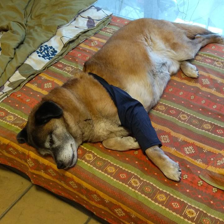 Ad283572 46df 4d8a ba95 04fe74e2b3c5 1559118898118