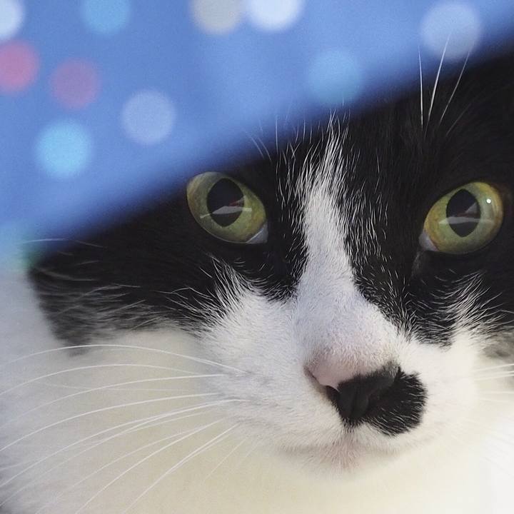 Ad284c48 e865 45a6 b81b 1e3fc02fa2d9 1547631493419