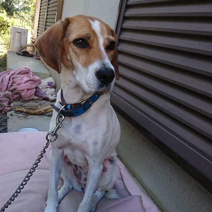 Ad2850b0 1caa 4ac5 b7c1 19139fe47bc3 1571212509971