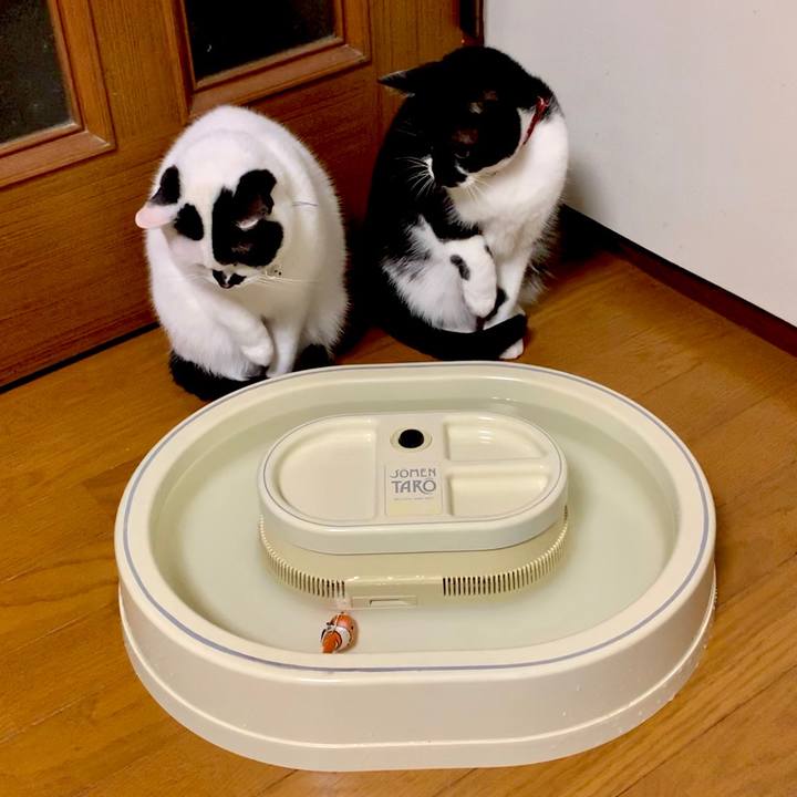 Ad28678c 6758 400d 9ac9 1abbc062af5e 1553127578908