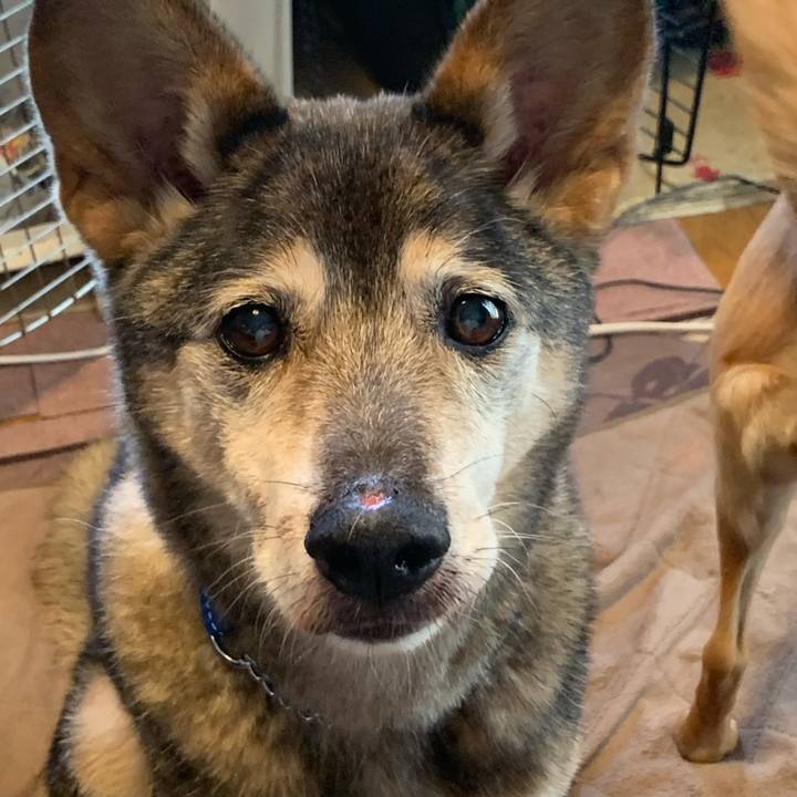 Ad288b71 d151 4590 8b80 9da49f1c966a 1573364820714