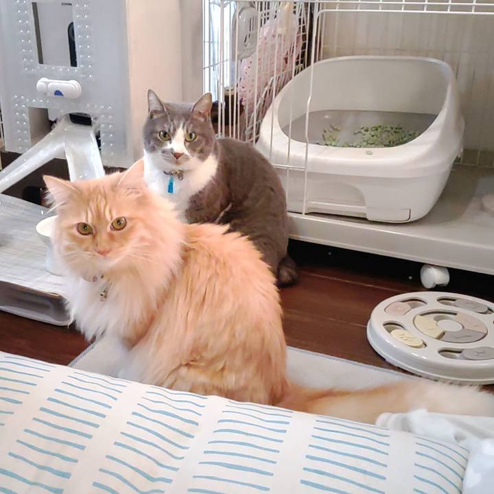 Ad28a367 ef64 41b8 a75b c29a52e8c29e 1680302016985