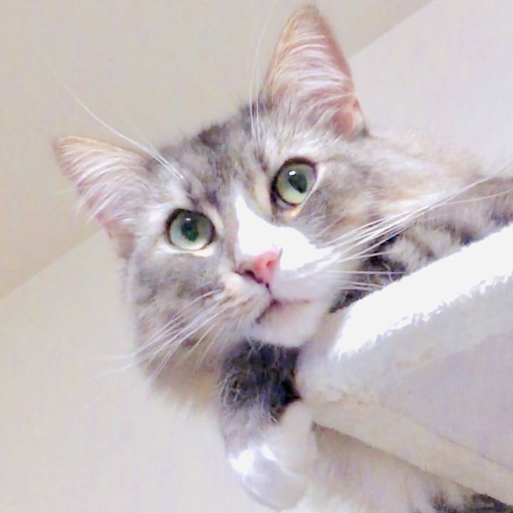 Ad28f974 c316 49f7 9ed6 65698710524a 1567100804126