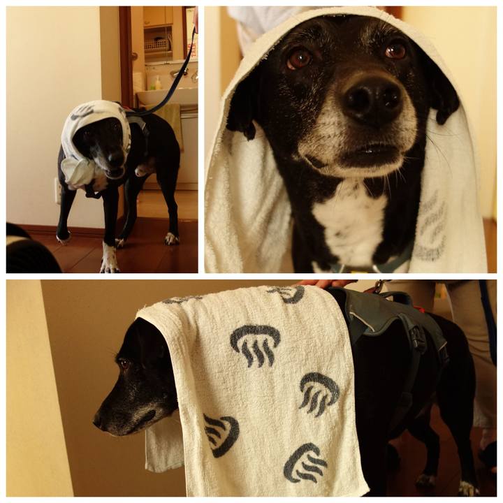 Ad28fc22 cafd 4cdc b906 0bceff8c6333 1739616495726