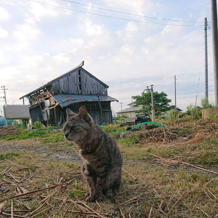 Ad295f81 758a 4c23 8b04 f677dc262fef 1591131202197