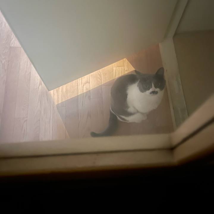 Ad29a2fb 3ed7 4d3d 859a f19d89bb3a9f 1736234655893