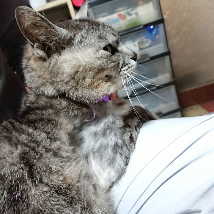 Ad29afca dd8b 4cbf 8a94 66faf939301b 1593027297784