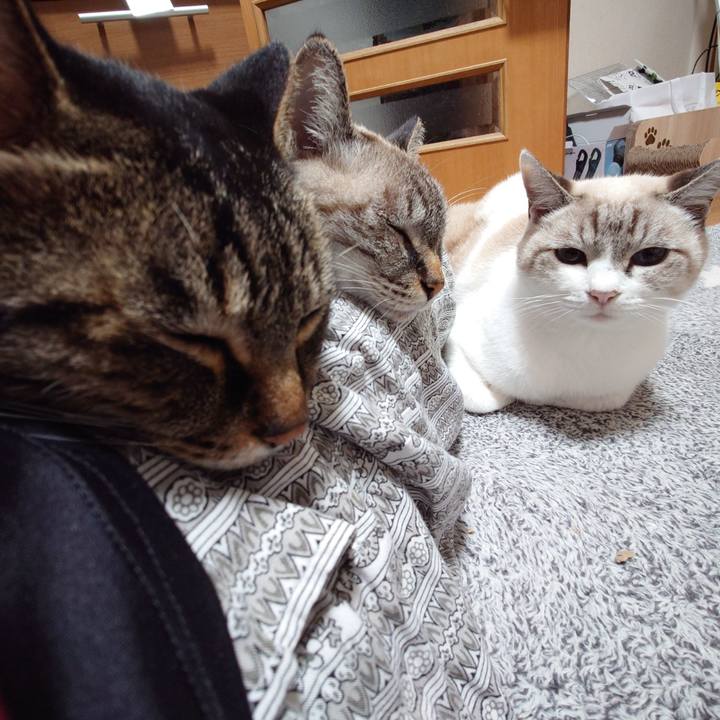 Ad29c344 ae2e 4bf7 af57 d4b35bc90eaa 1730119153234