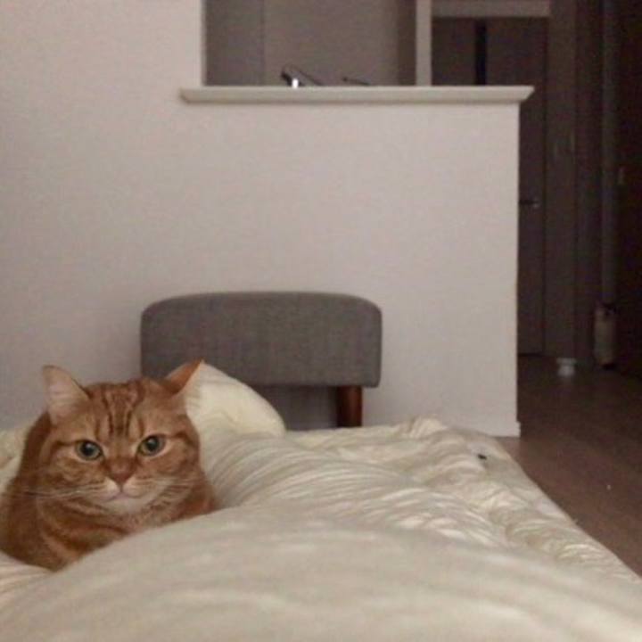 Ad2a2079 b1ad 4362 8497 4c648432c080 1547503273516