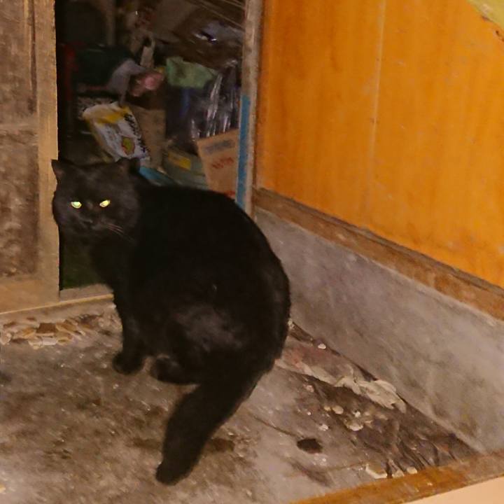 Ad2a27c4 046e 4fa3 86e8 30228e9f31ac 1644582119736