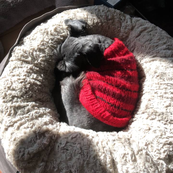 Ad2a4858 f482 46dc 8be8 79f530fd2ecc 1547945145190