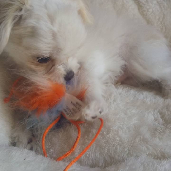 Ad2a78f2 4880 430e 837f 6bf9bfd53d16 1671412443539