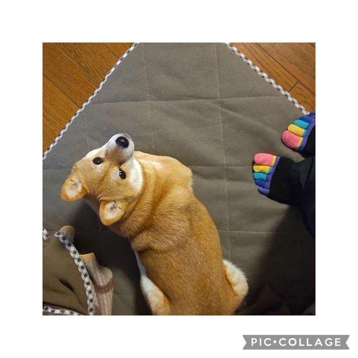 Ad2aa1a9 b5d7 4864 9a4b 427ec0e0921b 1709768658266