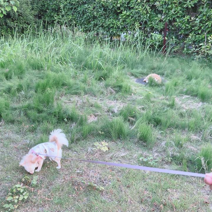 Ad2aa3f4 ded8 4c62 9be6 456cfe0e05a6 1690027829375