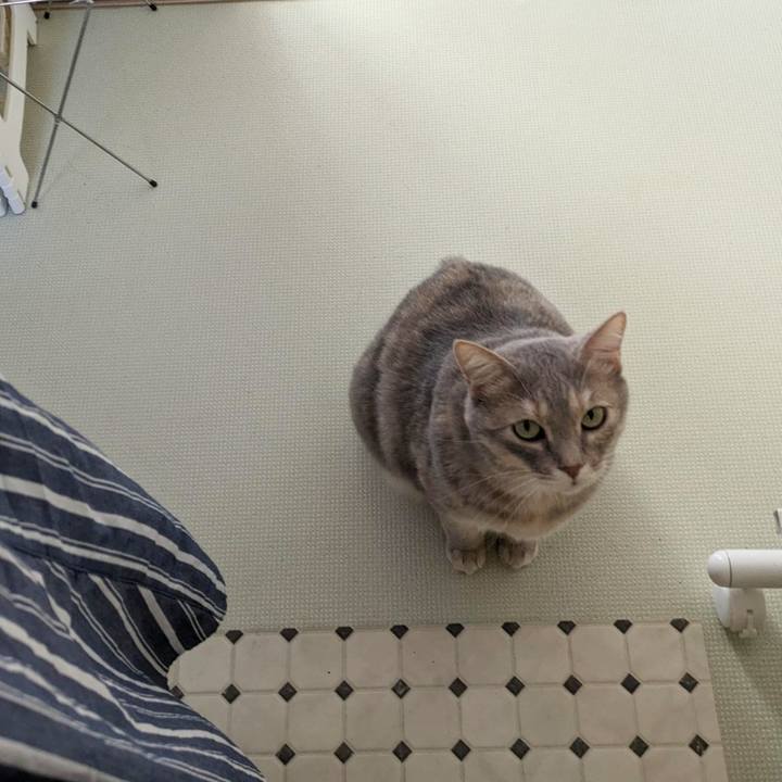 Ad2aa41a 1cf5 4f67 91c7 3746f09a9b10 1691468837814