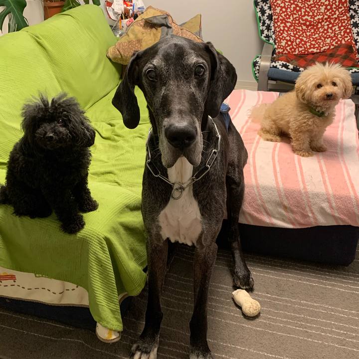 Ad2ac9fa 75ff 47bb 88f3 51a7942def13 1600815732291